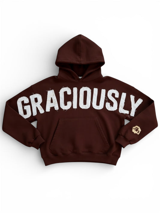 Premium Graciously Noticed Heavyweight Hoodie (Brown)